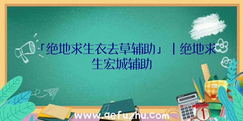 「绝地求生衣去草辅助」|绝地求生宏城辅助